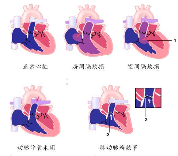 640 (22).png